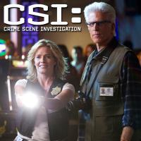 сериал Место преступления: Лас-Вегас / CSI: Crime Scene Investigation  13 сезон онлайн